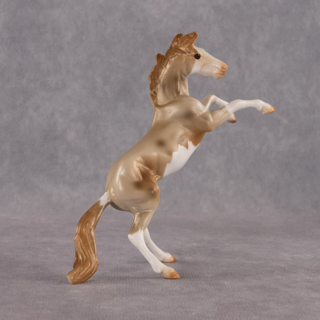 Cosmo OOAK Chip Mustang by Anna Rieck EQ26