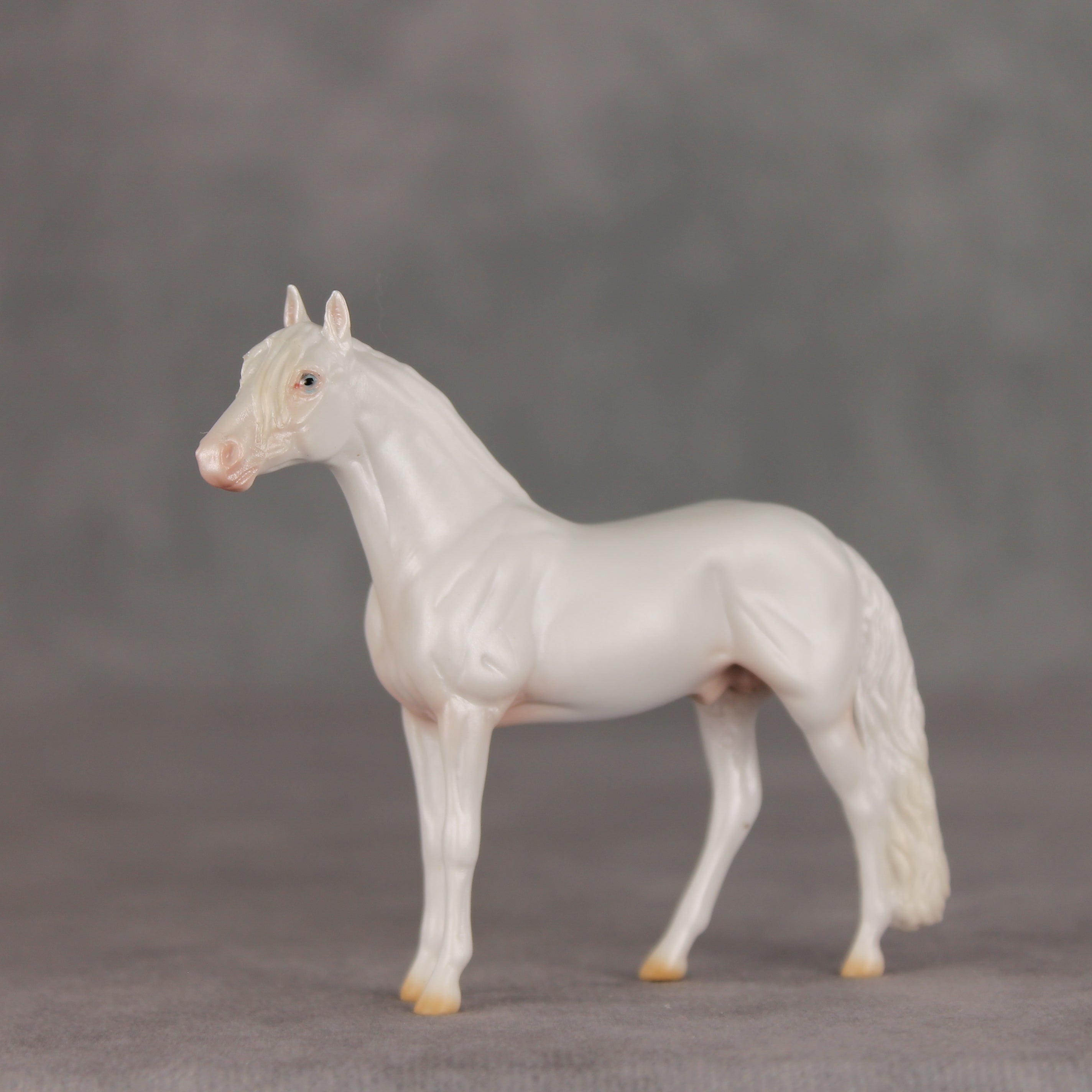 Cotton Swab OOAK Chip Andalusian by Ellen Robbins VV26