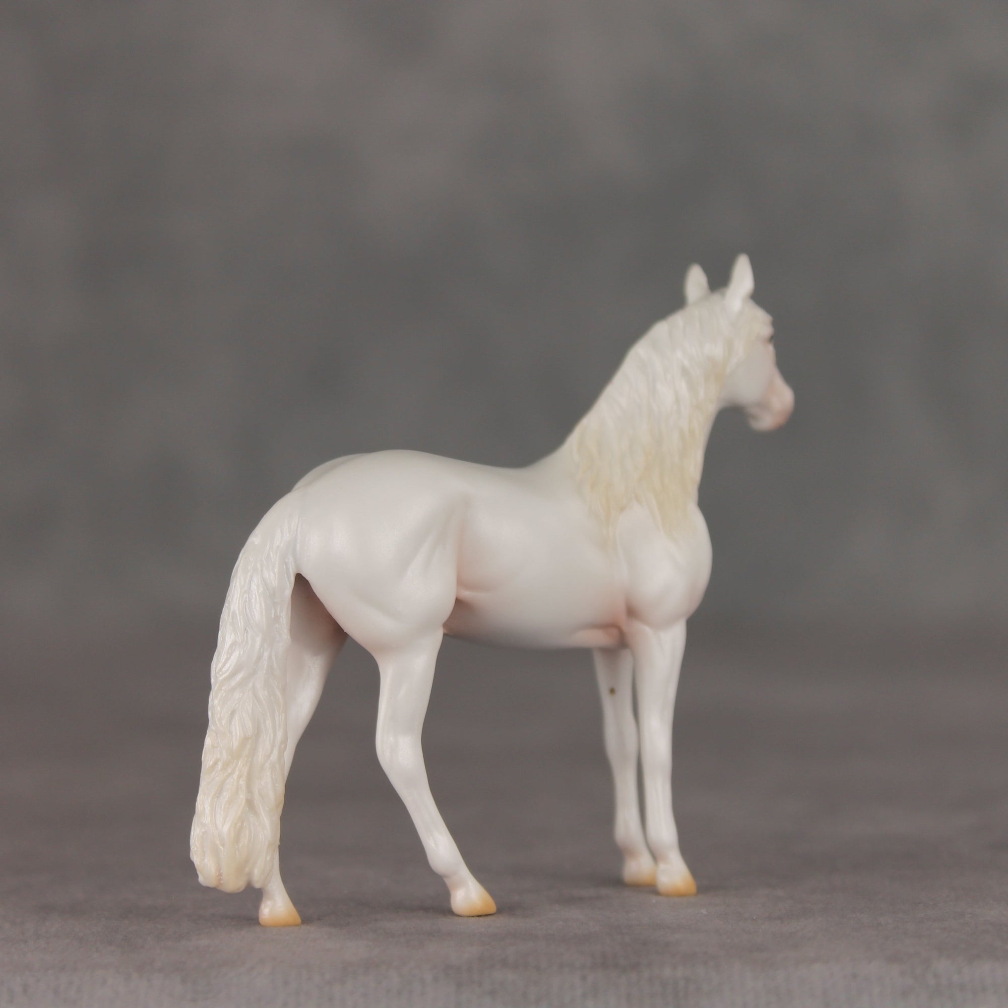 Cotton Swab OOAK Chip Andalusian by Ellen Robbins VV26