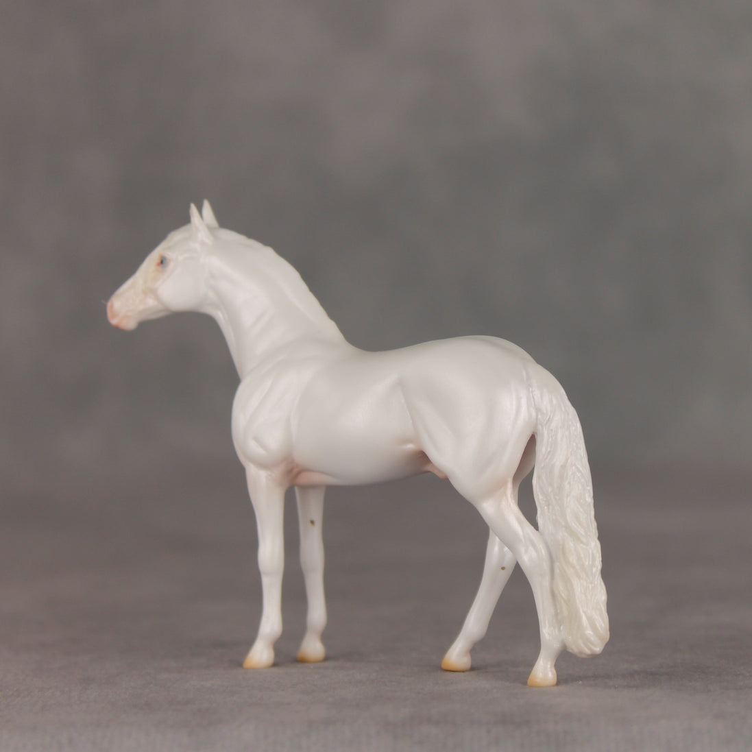 Cotton Swab OOAK Chip Andalusian by Ellen Robbins VV26