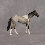 Countertops OOAK Chip Thoroughbred by Dawn Quick LHS26