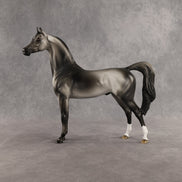 Courtesan OOAK Arabian Stallion by Jess Hamill SHCF26