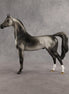 Courtesan OOAK Arabian Stallion by Jess Hamill SHCF26