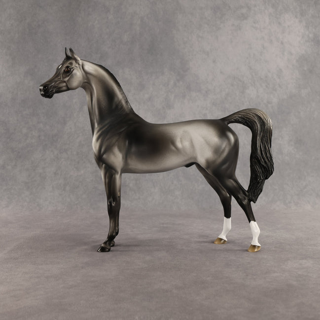 Courtesan OOAK Arabian Stallion by Jess Hamill SHCF26