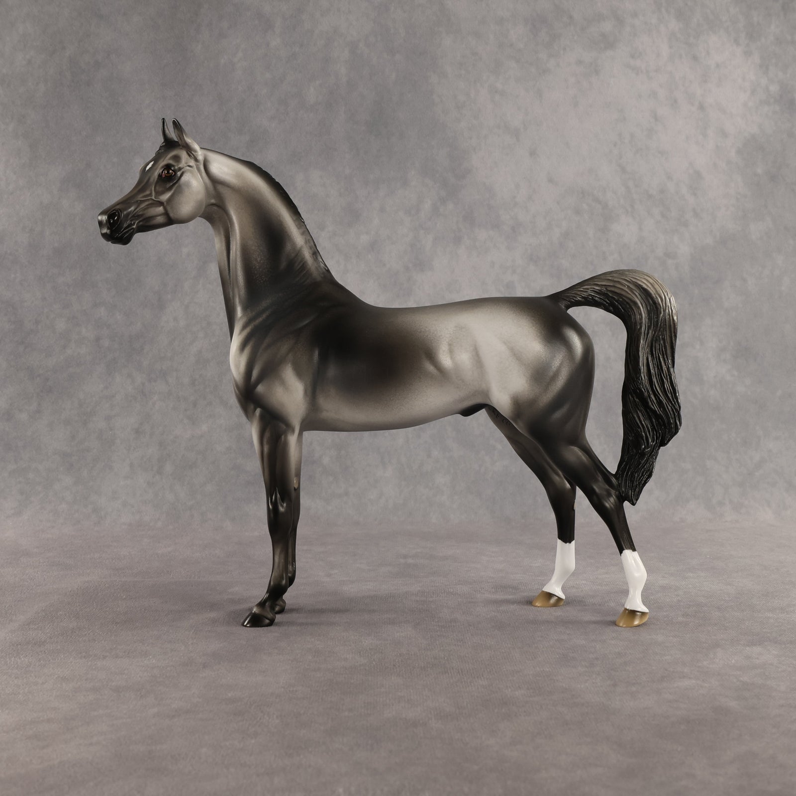 Courtesan OOAK Arabian Stallion by Jess Hamill SHCF26