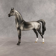 Courtesan OOAK Arabian Stallion by Jess Hamill SHCF26