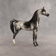 Courtesan OOAK Arabian Stallion by Jess Hamill SHCF26