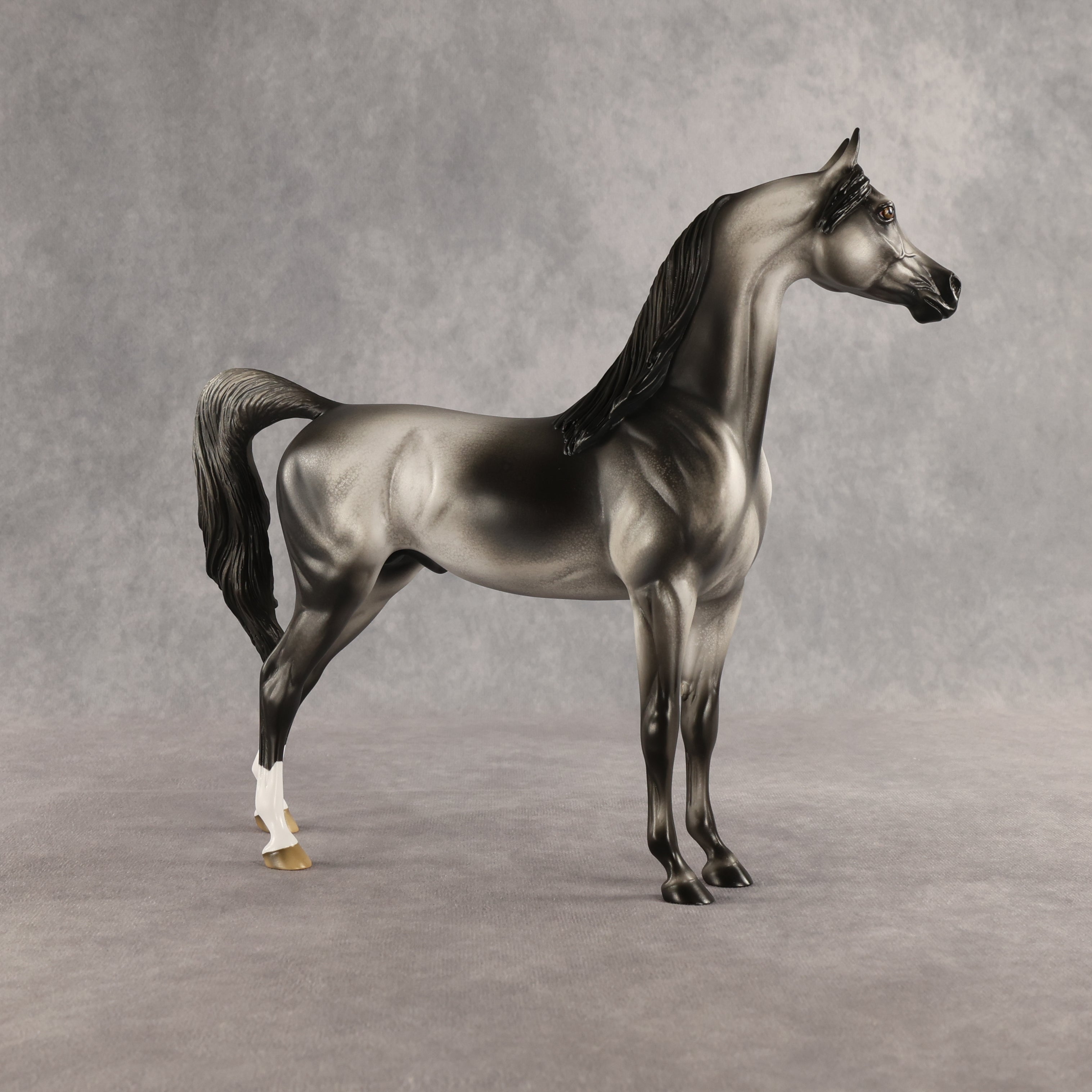 Courtesan OOAK Arabian Stallion by Jess Hamill SHCF26