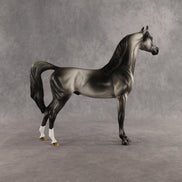 Courtesan OOAK Arabian Stallion by Jess Hamill SHCF26