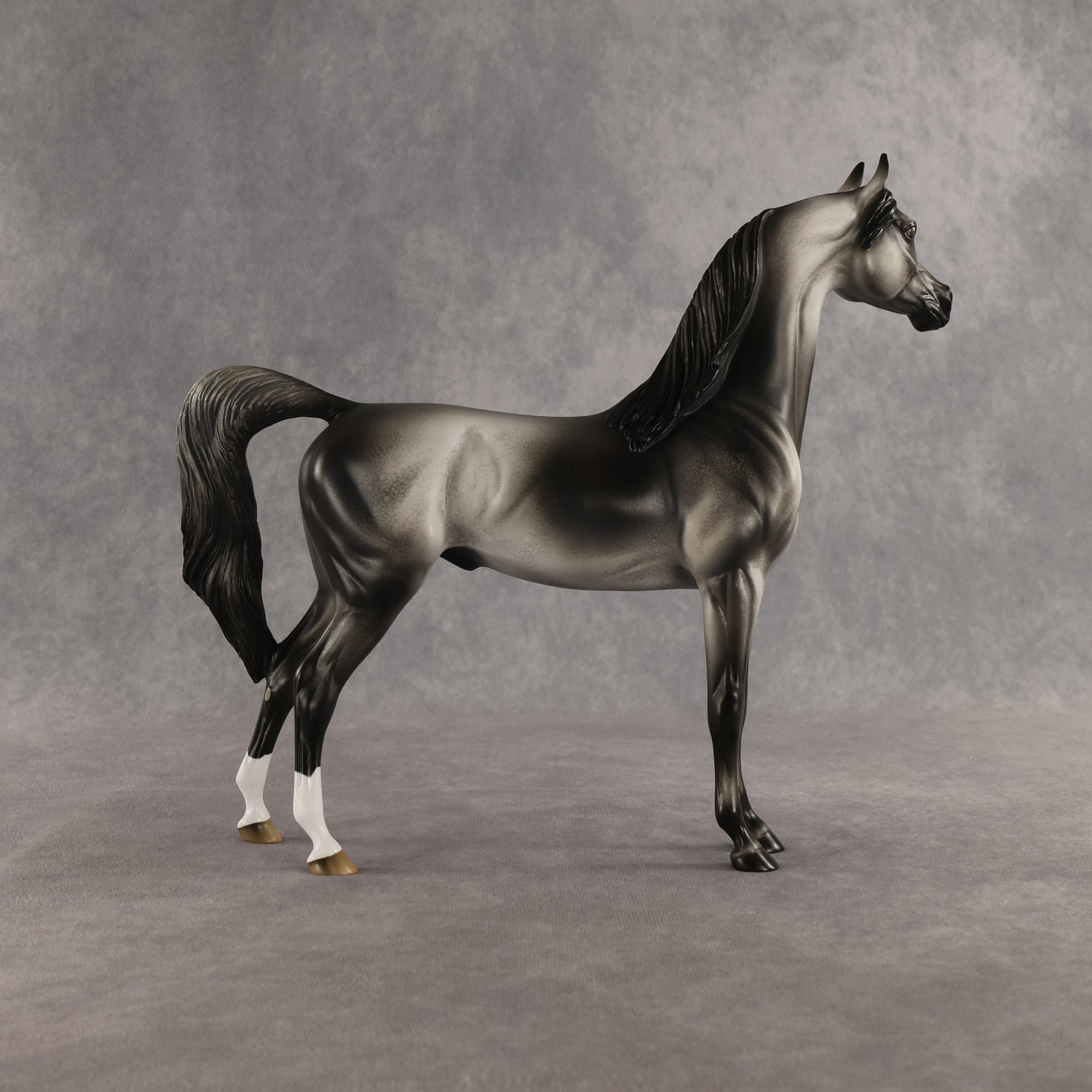 Courtesan OOAK Arabian Stallion by Jess Hamill SHCF26