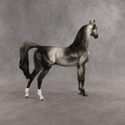 Courtesan OOAK Arabian Stallion by Jess Hamill SHCF26