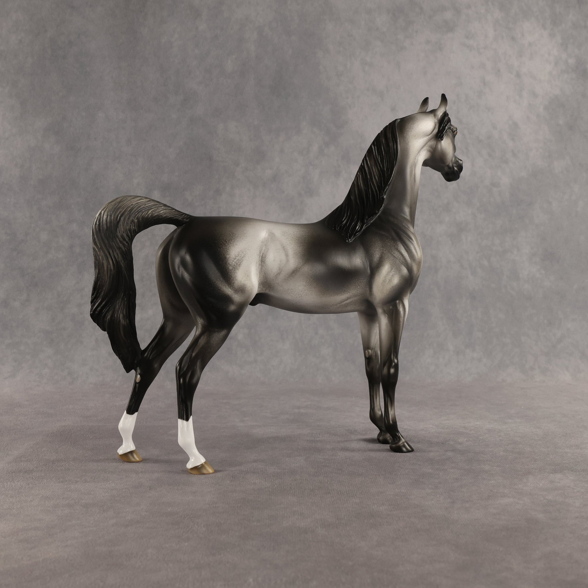 Courtesan OOAK Arabian Stallion by Jess Hamill SHCF26