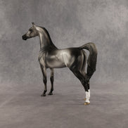 Courtesan OOAK Arabian Stallion by Jess Hamill SHCF26