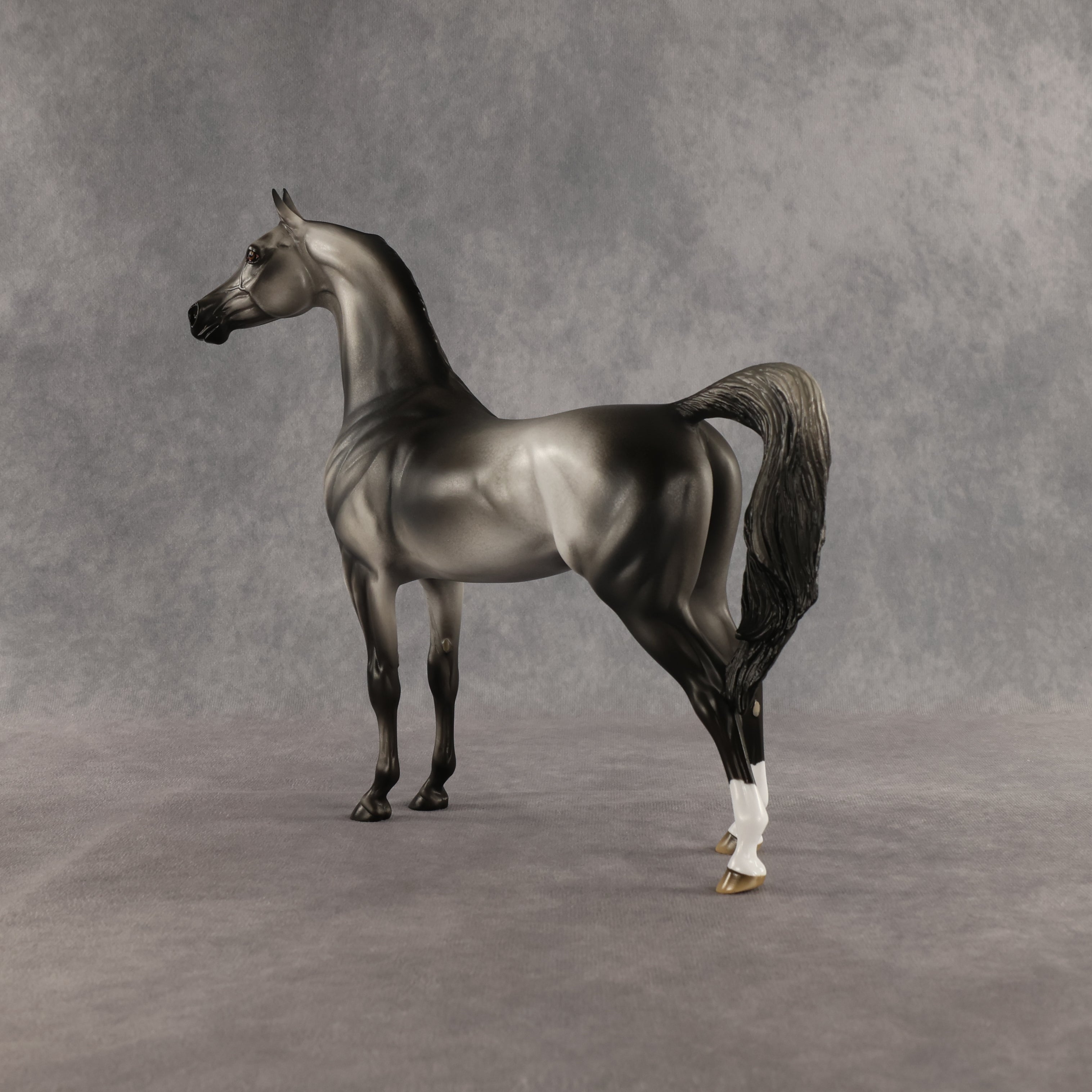 Courtesan OOAK Arabian Stallion by Jess Hamill SHCF26