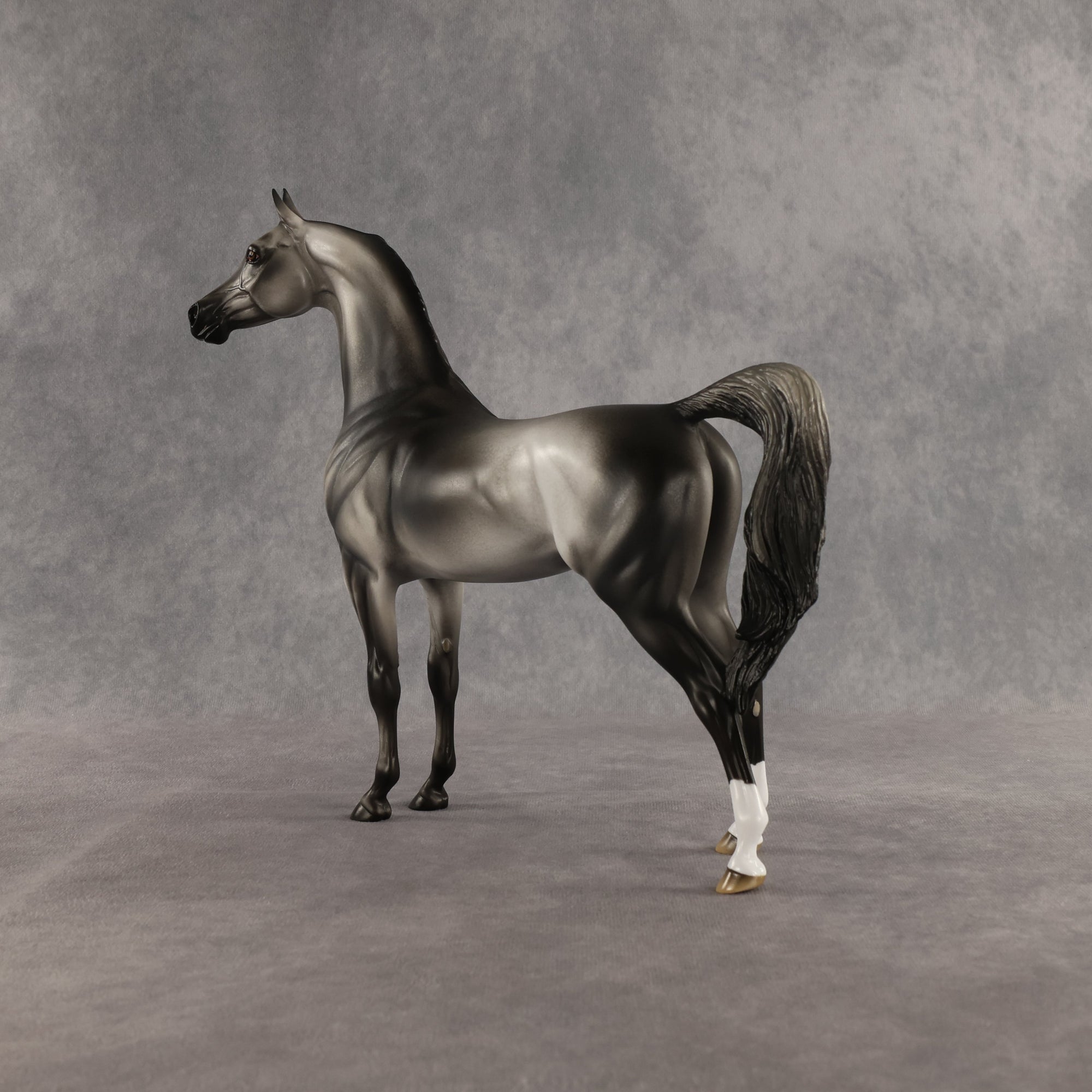 Courtesan OOAK Arabian Stallion by Jess Hamill SHCF26