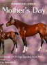 Cowgirl & Bandit OOAK Chip FCM Stock Horse & Chip Foal by Anna Rieck SCD26