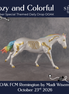 Cozy & Colorful OOAK FCM Remington by Madi Wiseman DDOOAKs26