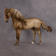 Cranberry Juice OOAK FCM Andalusian by Julie Keim DDOOAKs26