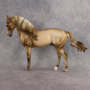 Cranberry Juice OOAK FCM Andalusian by Julie Keim DDOOAKs26