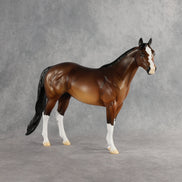 Critter OOAK Ideal Stock Horse by Alex Fortman EQ26