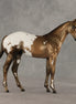 Cross Stitch OOAK Stock Horse Weanling by Julie Keim VV26