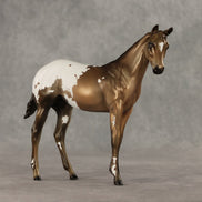 Cross Stitch OOAK Stock Horse Weanling by Julie Keim VV26
