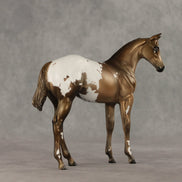 Cross Stitch OOAK Stock Horse Weanling by Julie Keim VV26