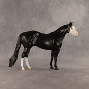 Crow OOAK Ideal Stock Horse by Madi Wiseman DDOOAKs26
