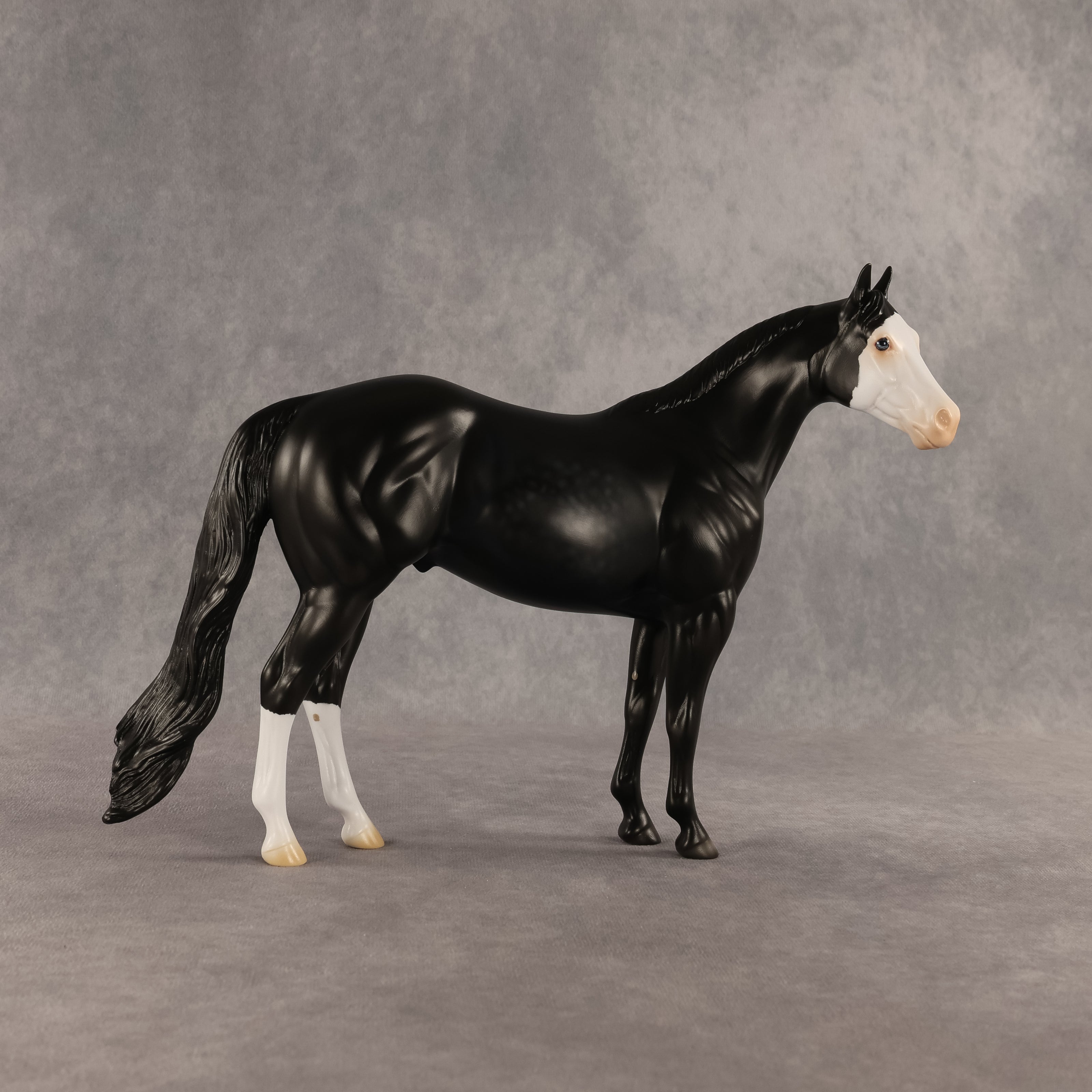 Crow OOAK Ideal Stock Horse by Madi Wiseman DDOOAKs26