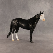 Crow OOAK Ideal Stock Horse by Madi Wiseman DDOOAKs26