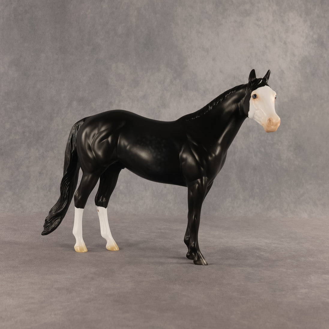 Crow OOAK Ideal Stock Horse by Madi Wiseman DDOOAKs26