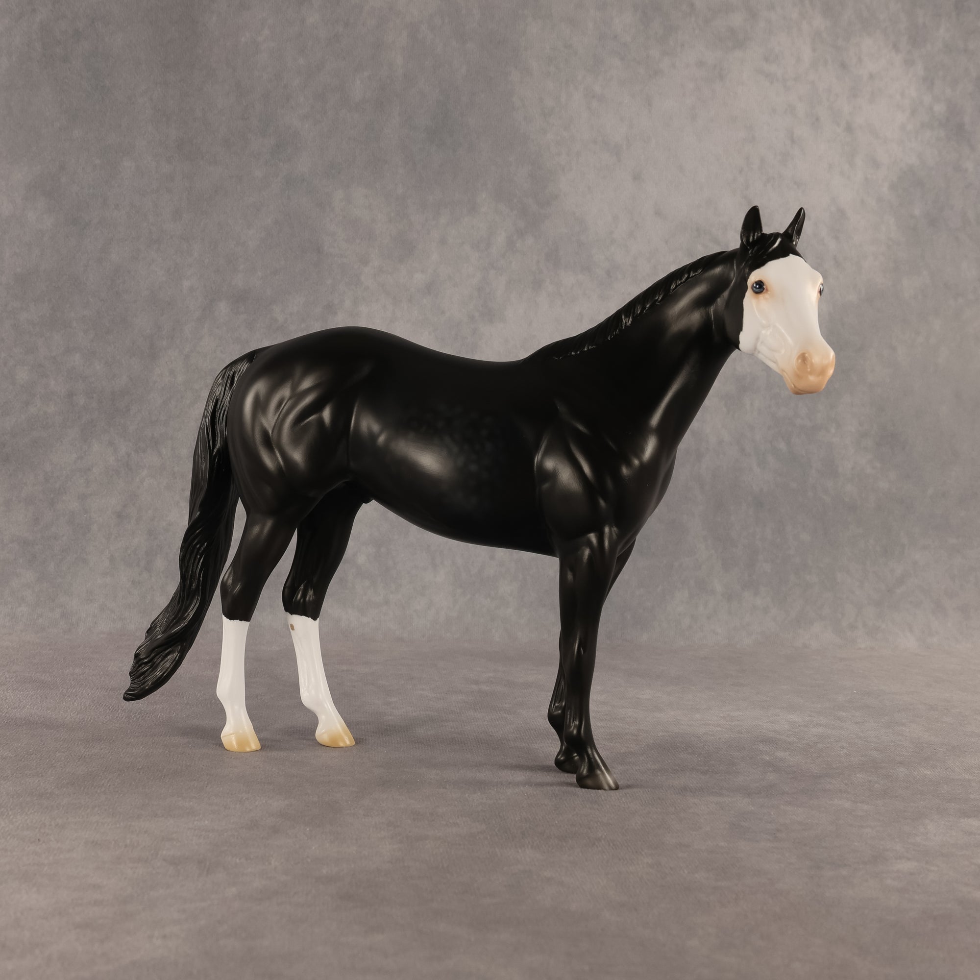 Crow OOAK Ideal Stock Horse by Madi Wiseman DDOOAKs26