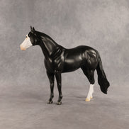 Crow OOAK Ideal Stock Horse by Madi Wiseman DDOOAKs26