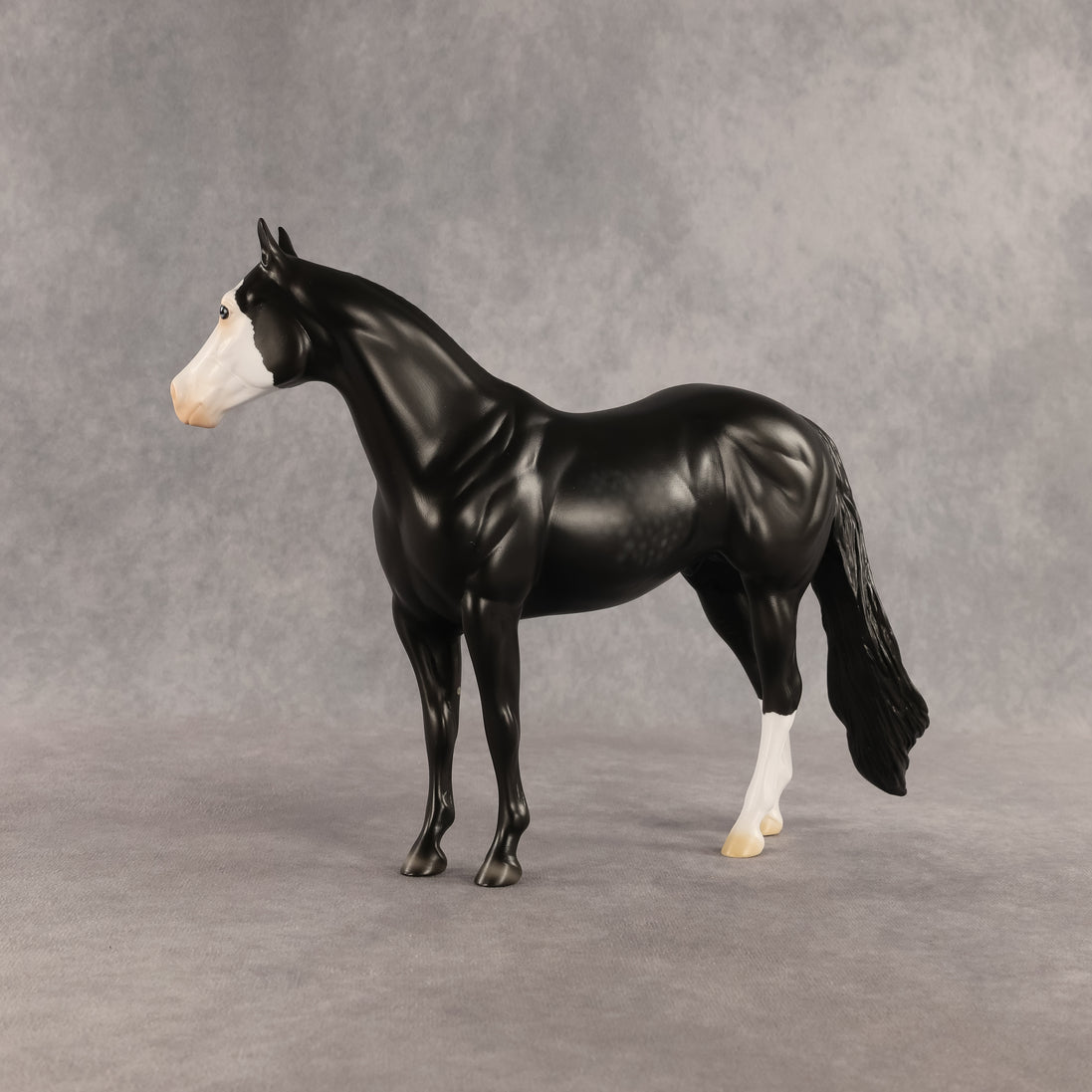 Crow OOAK Ideal Stock Horse by Madi Wiseman DDOOAKs26