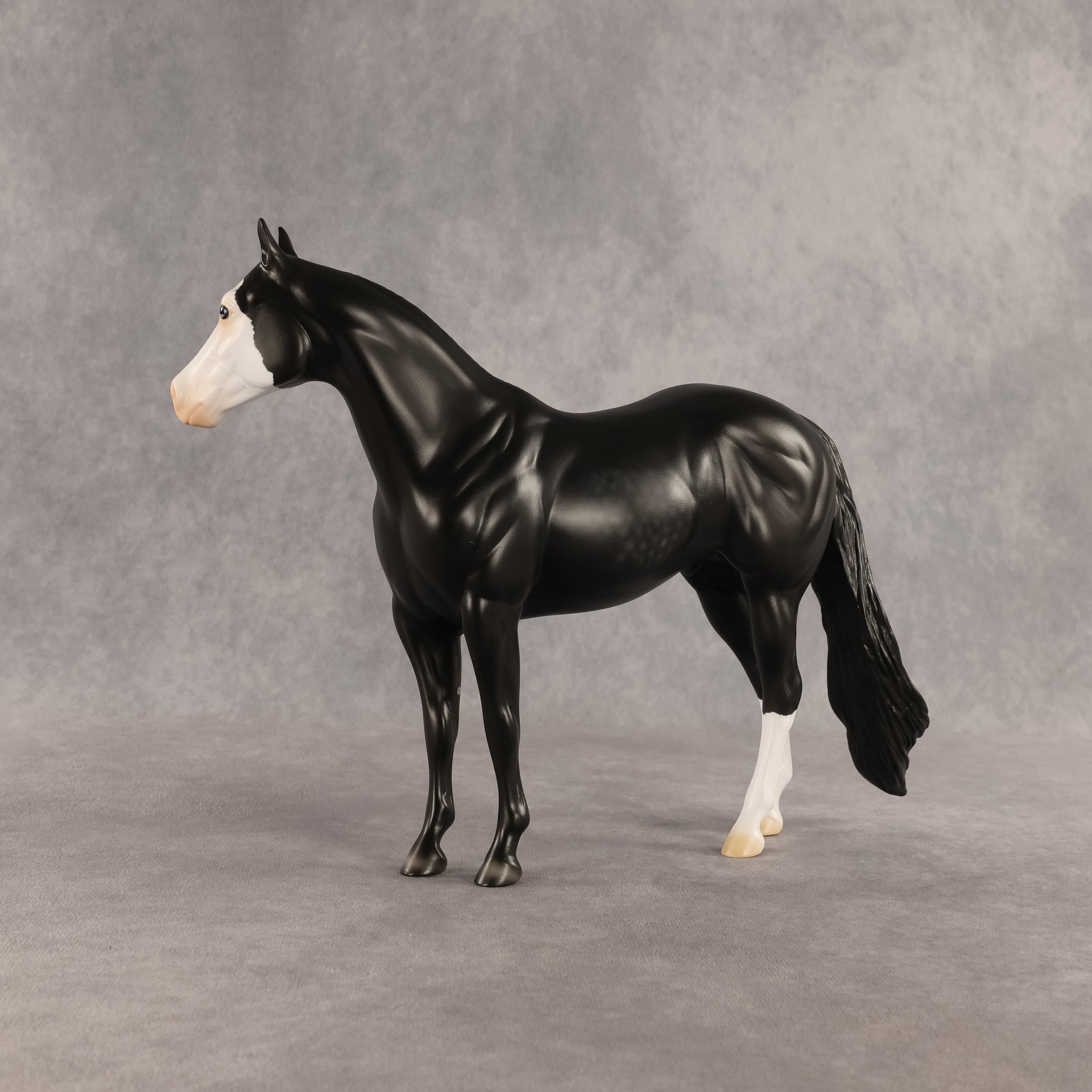Crow OOAK Ideal Stock Horse by Madi Wiseman DDOOAKs26