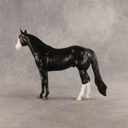 Crow OOAK Ideal Stock Horse by Madi Wiseman DDOOAKs26
