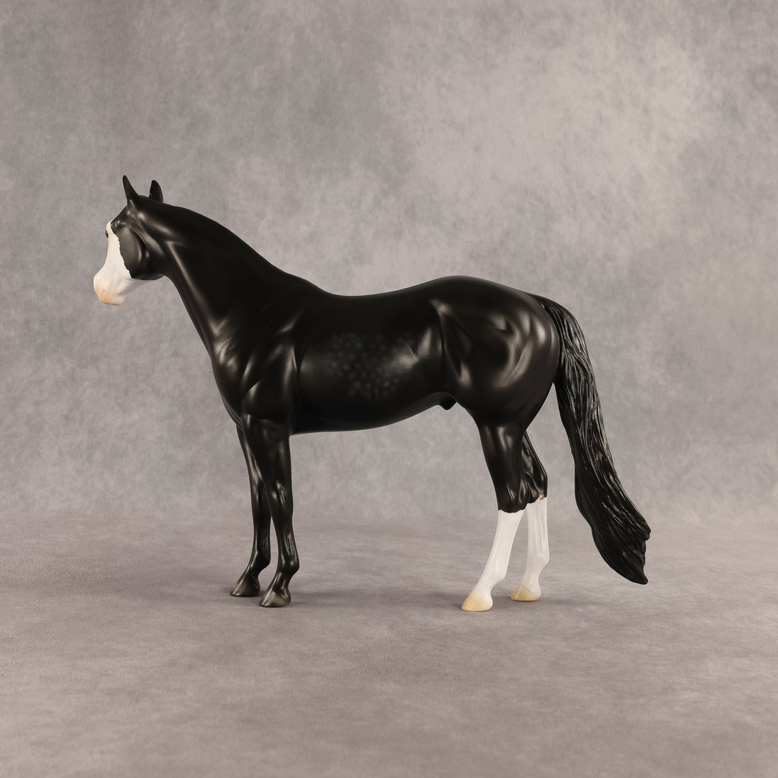 Crow OOAK Ideal Stock Horse by Madi Wiseman DDOOAKs26