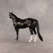 Crow OOAK Ideal Stock Horse by Madi Wiseman DDOOAKs26