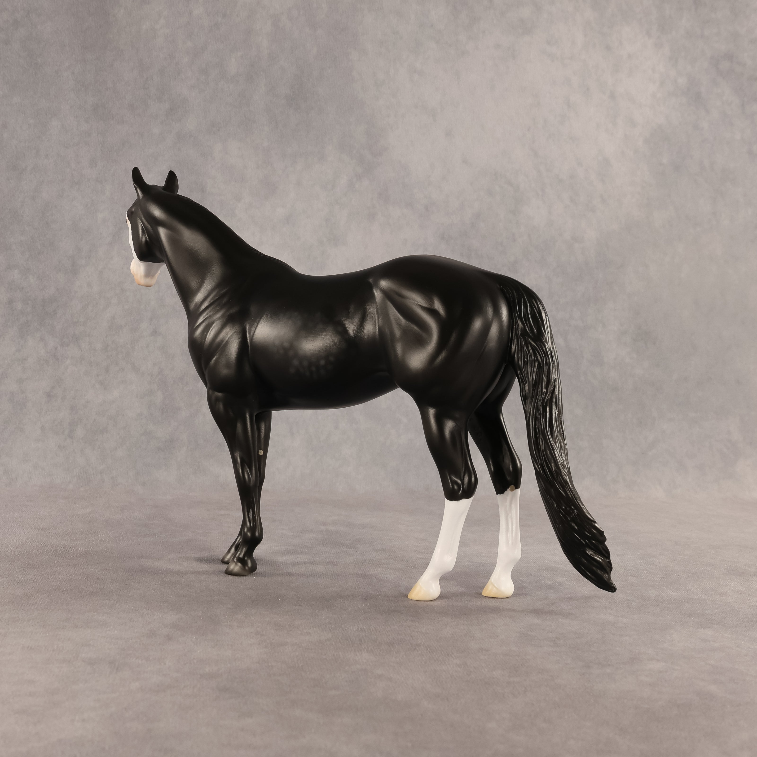 Crow OOAK Ideal Stock Horse by Madi Wiseman DDOOAKs26
