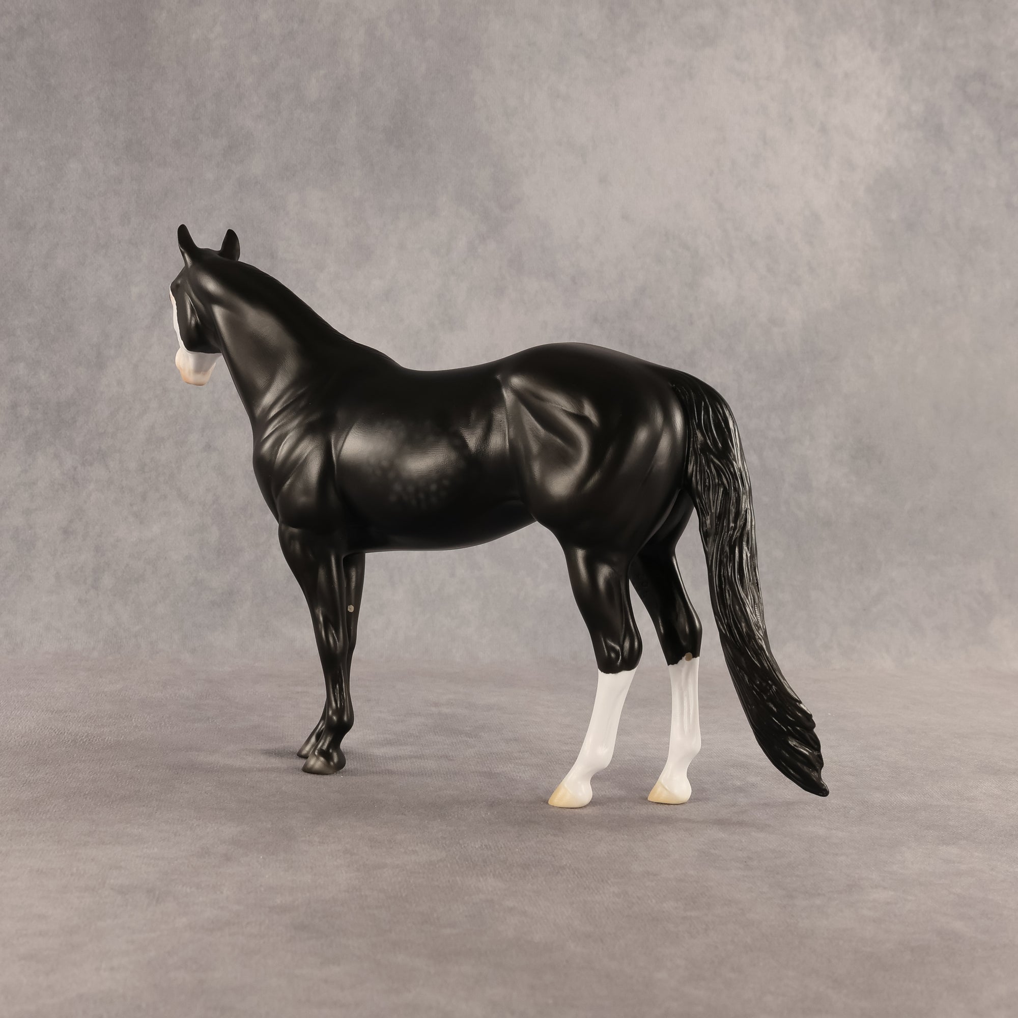 Crow OOAK Ideal Stock Horse by Madi Wiseman DDOOAKs26