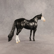 Crow OOAK Ideal Stock Horse by Madi Wiseman DDOOAKs26