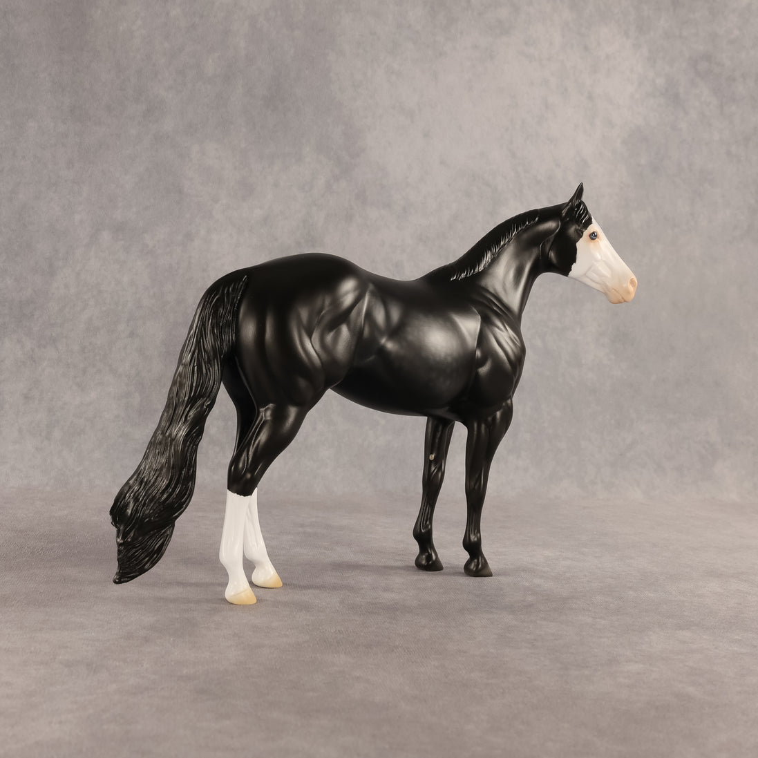 Crow OOAK Ideal Stock Horse by Madi Wiseman DDOOAKs26
