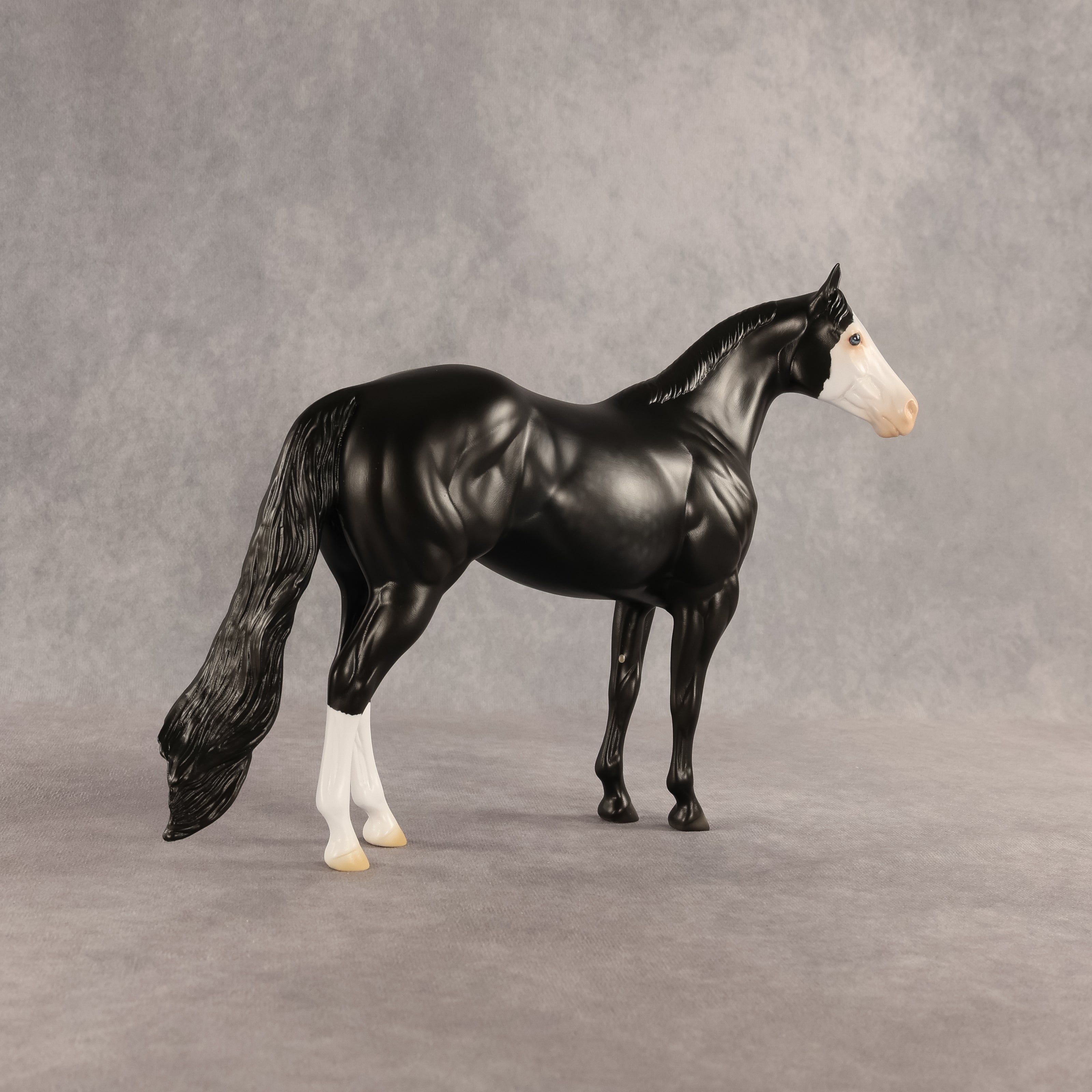 Crow OOAK Ideal Stock Horse by Madi Wiseman DDOOAKs26