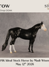 Crow OOAK Ideal Stock Horse by Madi Wiseman DDOOAKs26
