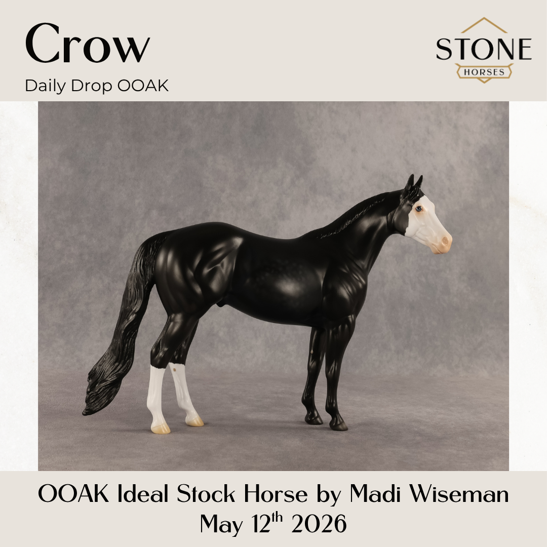 Crow OOAK Ideal Stock Horse by Madi Wiseman DDOOAKs26