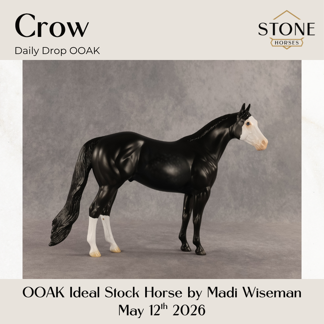 Crow OOAK Ideal Stock Horse by Madi Wiseman DDOOAKs26