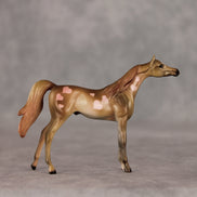 Cupcakes OOAK Chip Arabian by Julie Keim VV26
