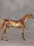 Cupcakes OOAK Chip Arabian by Julie Keim VV26