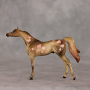 Cupcakes OOAK Chip Arabian by Julie Keim VV26