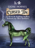 Preview: Cursed Tim LE-10 FCM Arabian Stallion by Ellen Robbins MM26